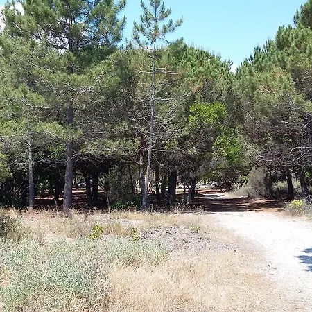 Ξενοδοχείο Franceschini 3*